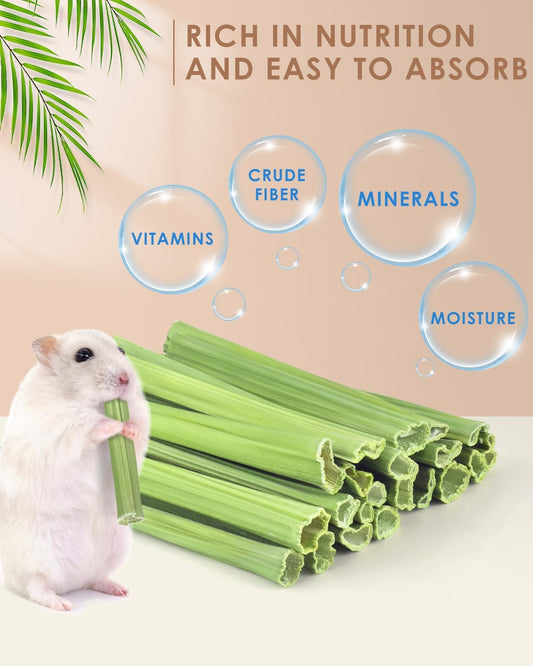 Bissap 25 PCS Guinea Pigs Chew Sticks, Natural Papaya Stems Bunny Chews Treats for Hamsters Chinchillas Small Animals Organic Molar Chewing Snack