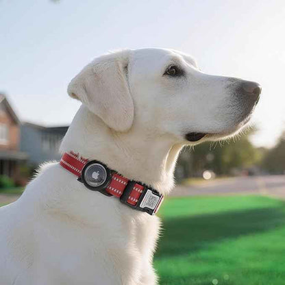 Dog Collar with QR Code, Reflective Dog Collar, Soft Neoprene Padded & Safety Locking Buckle Adjustable Pet Collar (Red, L-with Airtag Holder)