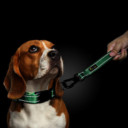 PLUTUS PET 10” Short Dog Leash, Reflective Nylon Padded Handle, Strong Traffic Leash with Carabiner Clip, Perfect for Large or Medium Dogs（10”，Green