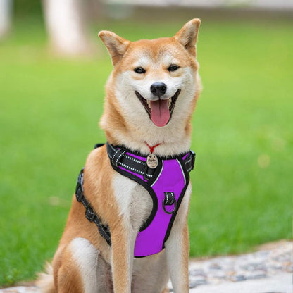 PoyPet No Pull Dog Harness, Reflective Comfortable Vest Harness with Front & Back 2 Leash Attachments and Easy Control Handle Adjustable Soft Padded Pet Vest for Small to Large Dogs (Purple,M)