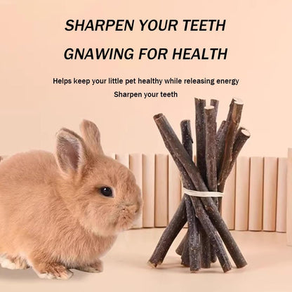 400g 5 Guinea Pig Toys Apple Sticks, Tissimo Grass Sticks, Sweet Bamboo, Papaya Stems, Carrot Sticks Pertain Chinchilla Squirrel Gerbil Hamster Squirrel Guinea Pigs