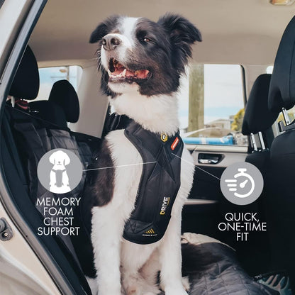 EzyDog Drive Dog Car Harness – Crash Tested and Certified (US-FMVSS 213) Dog Seat Belt Harness for Safe Travel, Adjustable with Padded Comfort (Small)