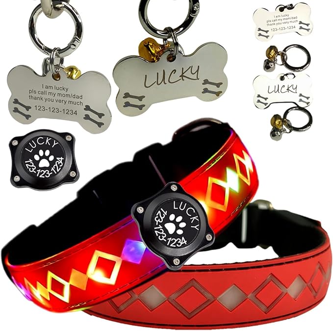 LED Dog Collar with AirTag Holder and Custom ID Tag, 15 Light Modes, Waterproof, Multiple Colors (RED Pro, S(7.87-11.8"))