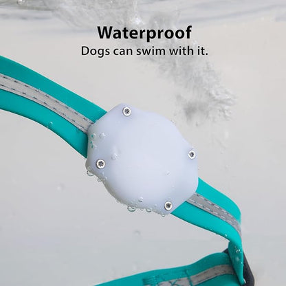Elevation Lab AirTag Dog Collar Holder - TagVault - IP68 Waterproof, Doesn't Dangle, Fits All Width Collars Glow in The Dark (2 Pack)
