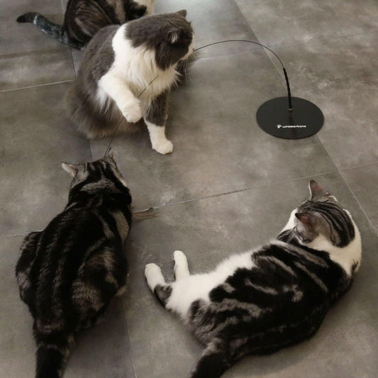 Weighted Base (Interactive Bird Simulation Cat Toy)