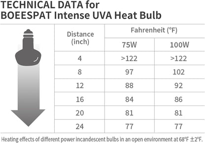 Intense 75W UVA Daylight Heat Lamp Bulbs for Basking - Simulated Sunlight Perfect for Desert-Dwelling Reptiles and Amphibians Like Bearded Dragons, Geckos, Iguanas, Lizards, (Pack of 2)
