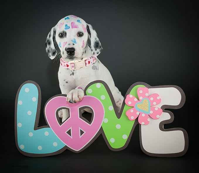 DOGWONG Valentine's Dog Collar, Adjustable Durable Pink Heart Dog Collar Cute Girl Dog Collar for Small Medium Dogs