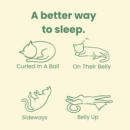 CATTASAURUS Peekaboo Cat Cave for Multiple & Large Cats Up to 30-45 Lbs, Fluffy Cat Beds & Furniture, Scratch Detachable & Washable Tunnel Bed, Comfy Donut Bed (Forest Green, Large (Calming))