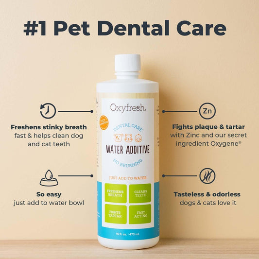 Oxyfresh Premium Pet Dental Care Solution Pet Water Additive: Best Way to Eliminate Bad Dog Breath and Cat Bad Breath - Fights Tartar & Plaque - So Easy, Just Add to Water! Vet Recommended 16 oz.