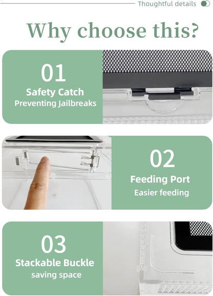 Reptile Terrarium 2025 Upgrade Leopard Gecko Tank Dual use of Water and Land, Stronger, More Durable, More Convenient, Suitable for Gecko, Hermit Crab, Tree Frog, Tarantula,Spiders (Small)