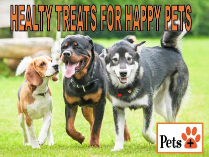Pets Plus Premium Dog Treats – Pig Ears, 4 Pack | All-Natural, High-Protein Chews for Dogs, Long-Lasting Treats for Dental Health, Training & Boredom Relief