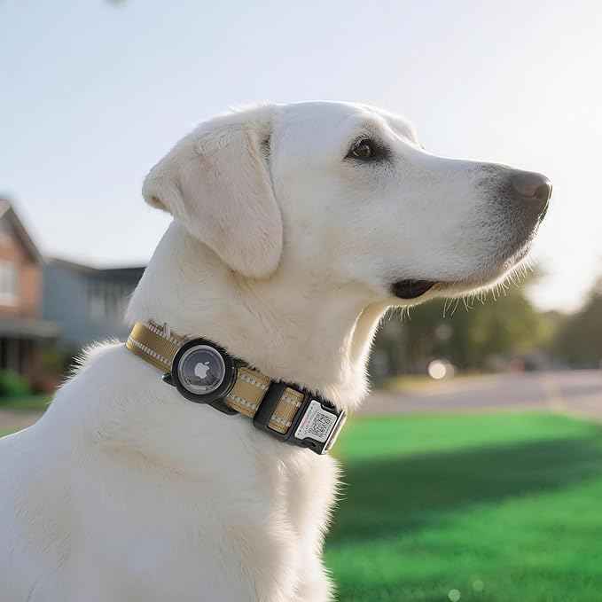 Dog Collar with QR Code, Reflective Dog Collar, Soft Neoprene Padded & Safety Locking Buckle Adjustable Pet Collar (Brown, M-with Airtag Holder)