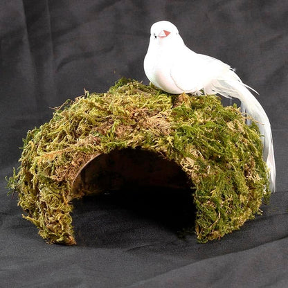 Coconut Hamster Hideout Hamster House Gerbil Cage for Small Animals with a Bundle of Apple Sticks a Carrot (Green)