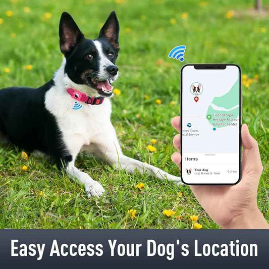 AirTag Dog Collar with AirTag Holder Compatible for Air Tag, Reflective Soft Padded, Safety Locking Buckle, Adjustable Nylon for Small Medium Large Dogs (Hotpink,L)