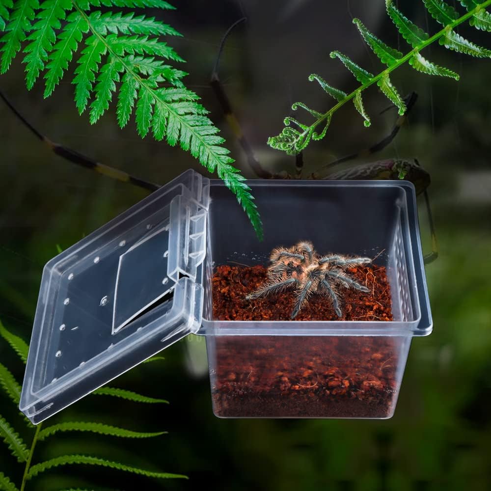 10 Pack Small Size Spider Terrariums Breeding Box Hatching Container Insect Scorpion Centipede Acrylic Breeding Box (with 10 Pcs Micro Water Bowl