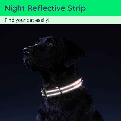 Dog Collar with QR Code, Reflective Dog Collar, Soft Neoprene Padded & Safety Locking Buckle Adjustable Pet Collar (Red, S-with Airtag Holder)