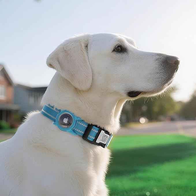 Airtag Dog Collar with QR Code, Reflective Dog Collar with Airtag Holder, Soft Padded & Safety Locking Buckle Adjustable Dog Collar for Small Dogs
