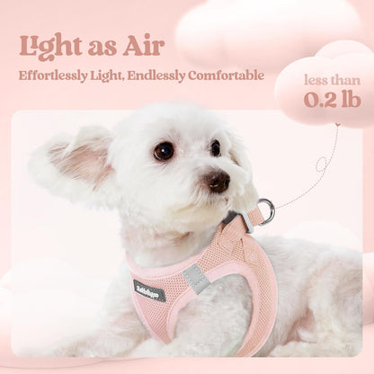 rabbitgoo Dog Harness Small Sized and Leash Set, Step in Soft Light Puppy Vest, Breathable Mesh Pet Harness, Reflective for Outdoor Safe Walking, Pink XXXS