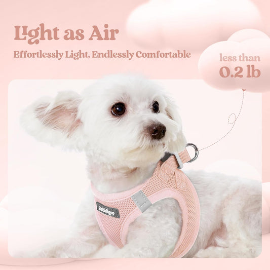 rabbitgoo Dog Harness Small Medium Sized and Leash Set, Step in Soft Light Puppy Vest, Breathable Mesh Pet Harness, Reflective for Safe Outdoor Walking, Pink L