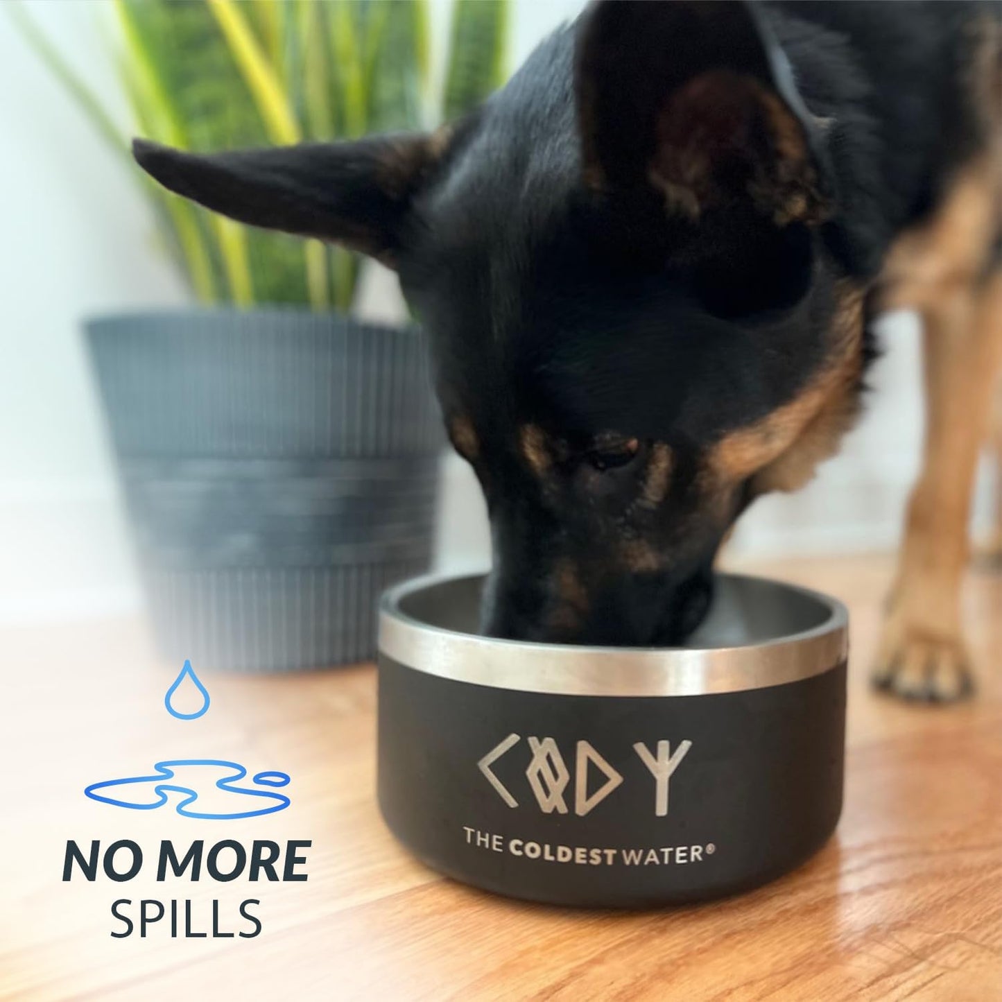 Coldest Dog Bowl - Anti Rust Metal, Non Slip, 3 Layers Insulated Stainless Steel Dog Bowls - Spill Proof & Heavy Duty - Water Bowl for Dogs, Cats & Pets, Dish Washer Safe (200 oz, Terraform Green)
