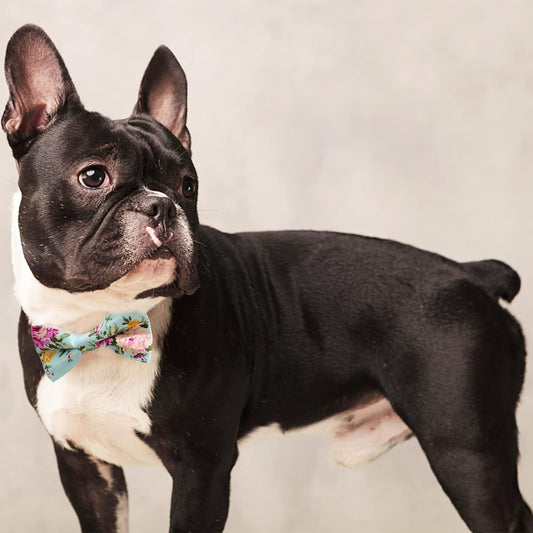 Dog Bow Ties, 10 PCS Flower Pattern Adjustable Bowties for Cats & Small Medium Large Dogs Collar Charms for Birthday Wedding Parties(Flower)