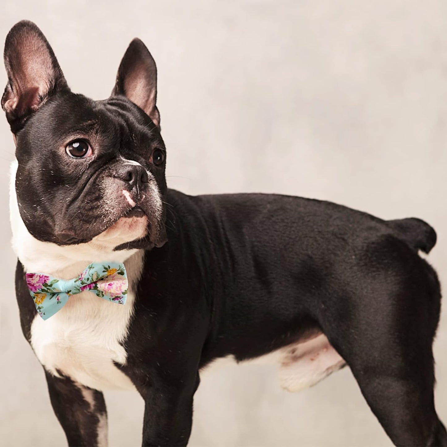 Dog Bow Ties, 10 PCS Flower Pattern Adjustable Bowties for Cats & Small Medium Large Dogs Collar Charms for Birthday Wedding Parties（Flower）