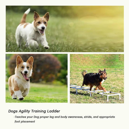 PLKO Dogs Agility Training Ladder, Pets Agility Training Equipment, Pet Outdoor Game