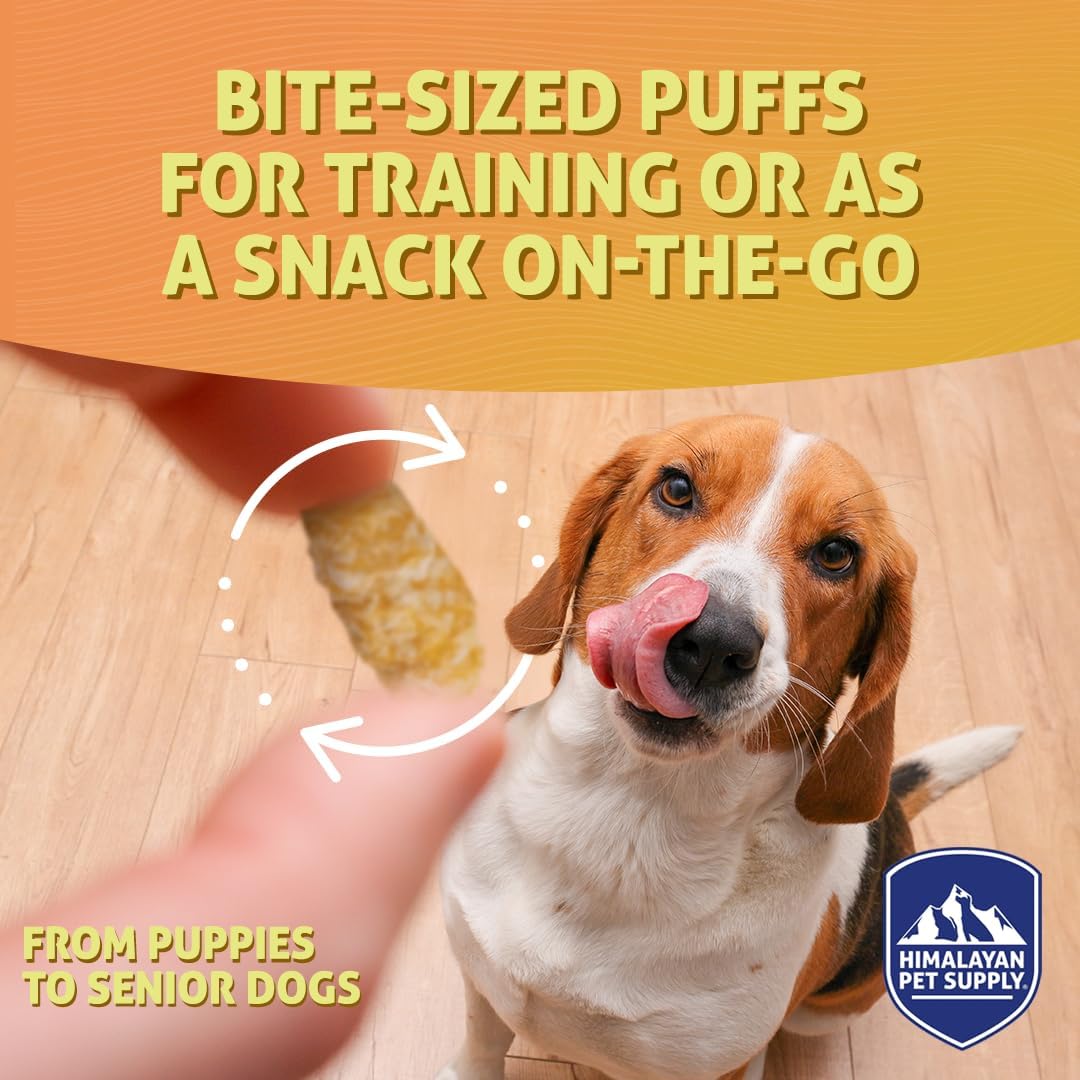 Barkeetos Dog Treats Variety Pack – Peanut Butter, Bacon, Cheese & Chicken – Crunchy Cheesy Snacks with Real Himalayan Cheese – Grain Free, Gluten Free, Lactose Free – for All Breeds - 4 Pack