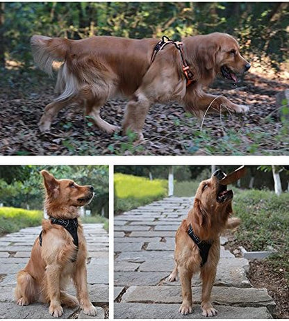 Truelove No Pull Dog Harness with Easy Control Handle and 2 Leash Attachments,Reflective Adjustable Pet Vest