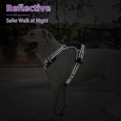 PUPTECK No Pull Dog Harness Medium Sized, Adjustable Reflective Dog Harness with Handle Easy Control, Comfortable Soft Padded Pet Vest Harness for Medium Dogs, Solid Purple M