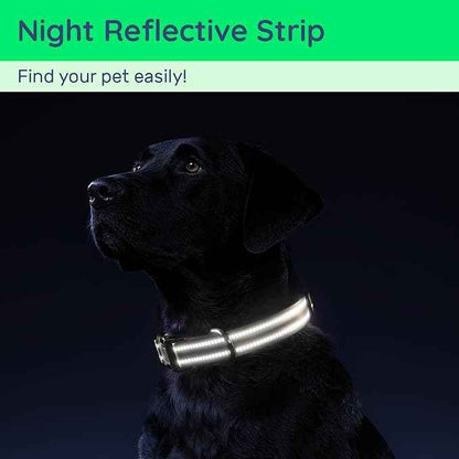 Dog Collar with QR Code, Reflective Dog Collar, Soft Neoprene Padded & Safety Locking Buckle Adjustable Pet Collar (Brown, L-with Airtag Holder)