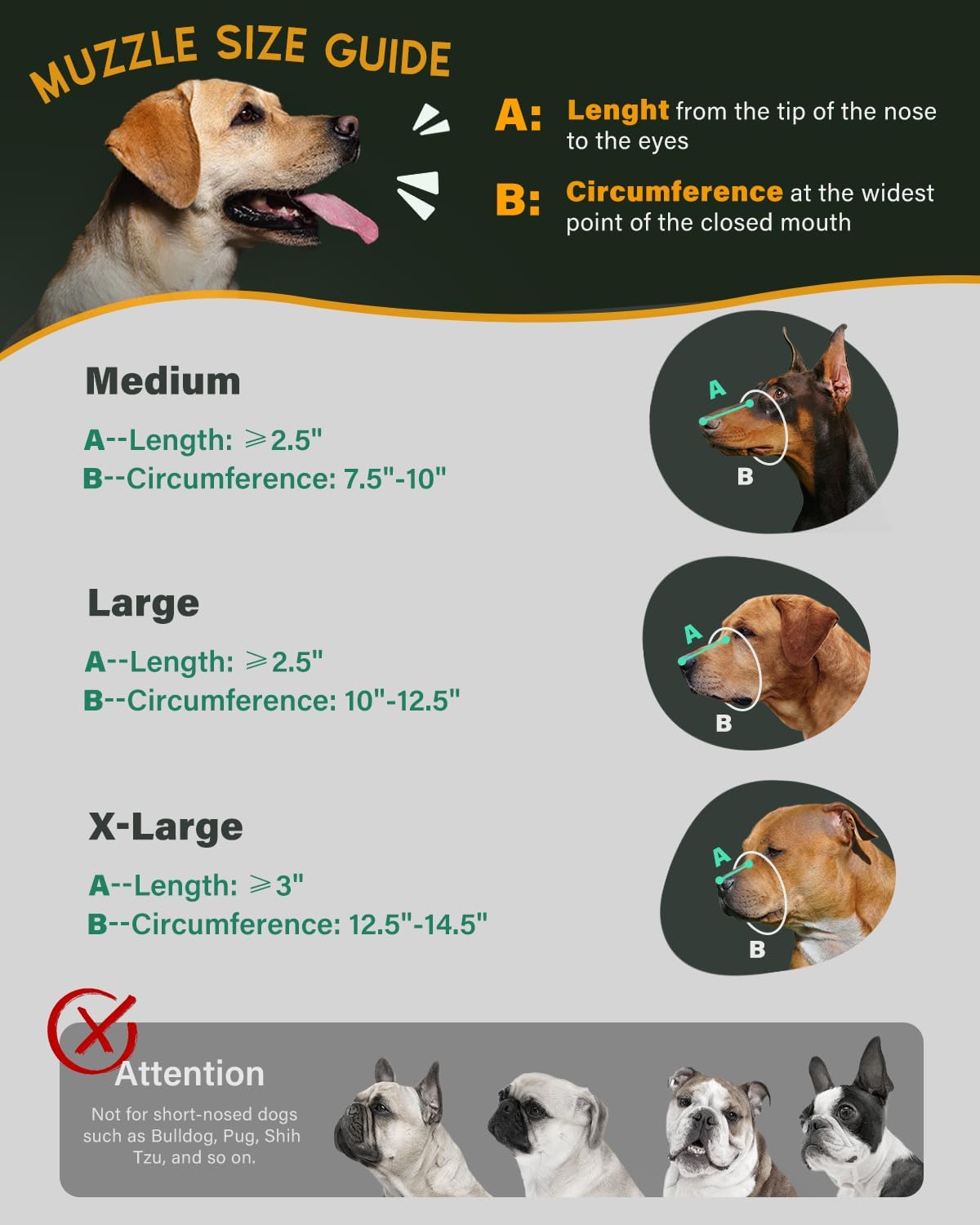 Dog Muzzle, Leather Basket Soft Muzzles Medium Large Breeds, Pitbull Dog Muzzle Amstaff Staffordshire Terrier, German Shepherd Dalmatian Doberman Adjustable (M)