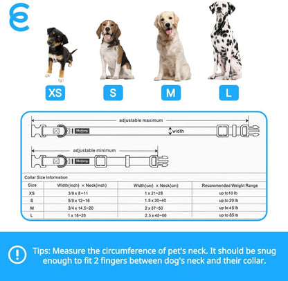 Blueberry Pet Essentials Matching Medium Adjustable & Durable Classic Solid Color Nylon Dog Collars for Medium Dogs | Mint Blue Collar for Girl & Boy Dogs