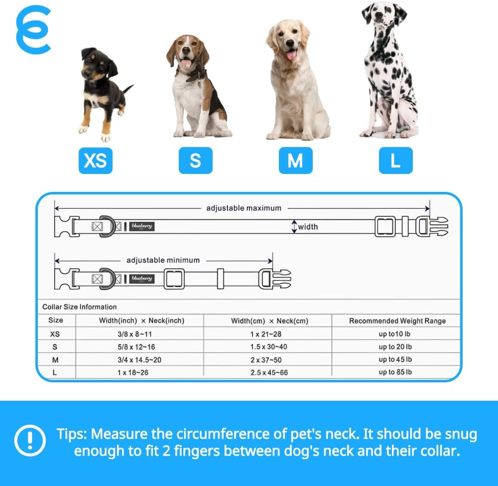 Blueberry Pet Essentials Medium Dog Collar in True Navy | Adjustable & Eco-Friendly Durable Nylon Strap | Classic Collar for Medium Dogs, Boy & Girl Pets