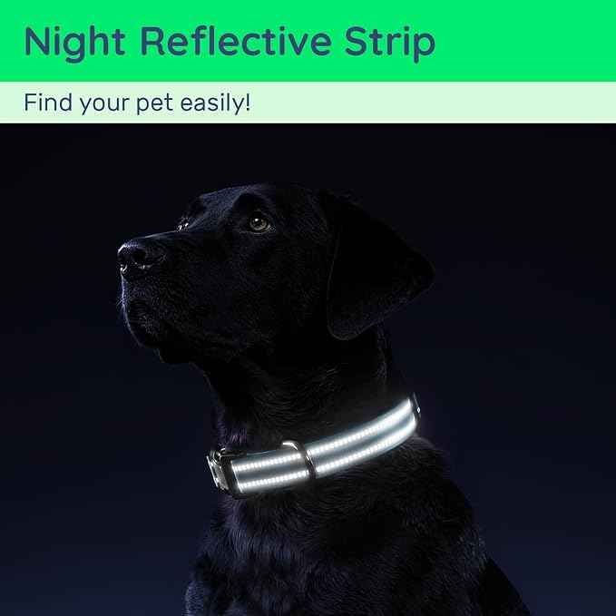 Airtag Dog Collar with QR Code, Reflective Dog Collar with Airtag Holder, Soft Padded & Safety Locking Buckle Adjustable Dog Collar for Large Dogs