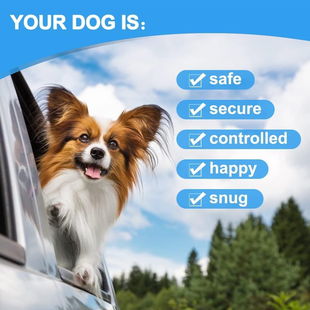 Dog Seat Belt Harness for Car,Dog Seatbelt of Coated Wire Leash Safety Restraint,No Chew Tether Cable Vehicle,Double Clips & Latch(Orange, 24 inch/60 CM)