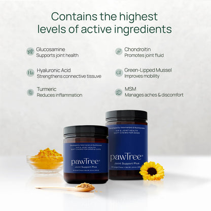 pawTree Joint & Hip Support Supplement for Dogs & Cats with Glucosamine, Chondroitin, MSM, Tumeric & Green Lipped Mussels - Vitamins & Health Essentials - All-Natural Mobility Soft Chews