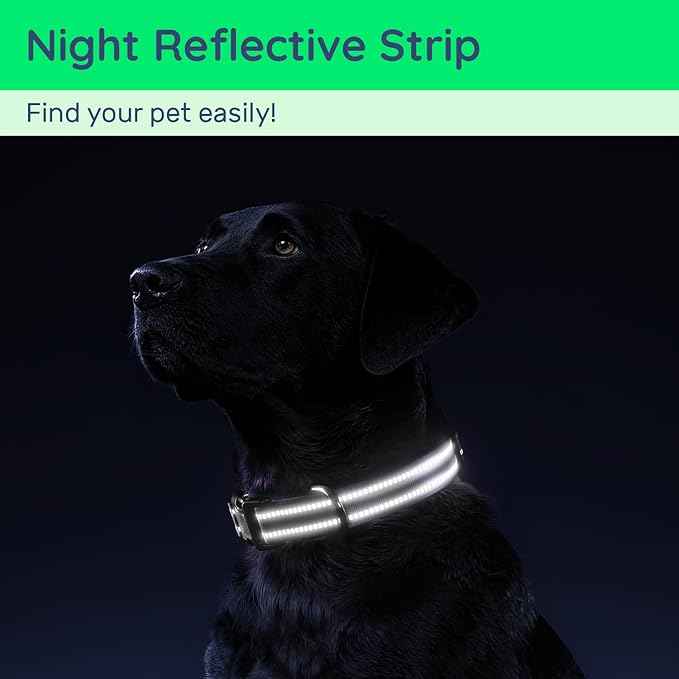 Dog Collar with QR Code, Reflective Dog Collar, Soft Neoprene Padded & Safety Locking Buckle Adjustable Pet Collar (Purple, XS-with Airtag Holder)