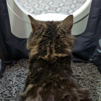 Omlet Premium Paper Cat Litter | Non-Clumping & Perfect for Kittens | Biodegradable and Lightweight Cat Litter Option | Excellent Odour Control and High Absorbency | No. 5 - Paper - 7 lbs. 11 oz.