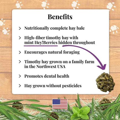 LAFEBER'S Berrie-Bale Mint for Guinea Pigs 1 lb