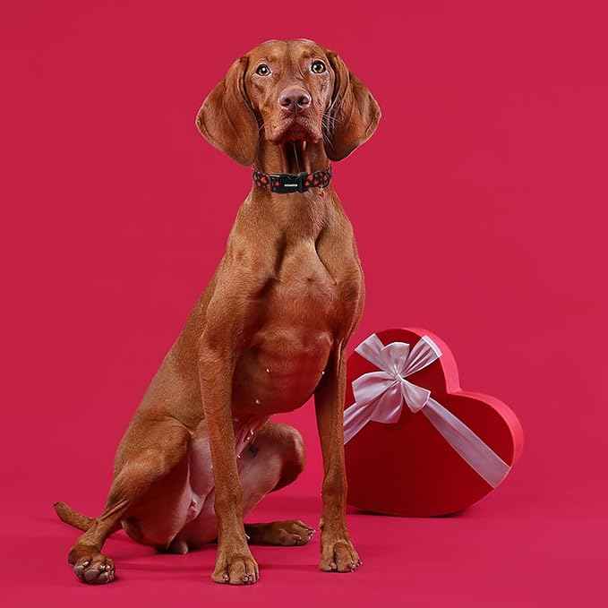 DOGWONG Red Heart Dog Collar Adjustable Soft Natural Fabric Girl Pet Dog Collar Cute Heart Valentine Puppy Necklace for Small Medium Large Dogs