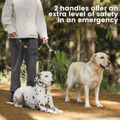 Howgo Double Slip Leash Slip Lead with Two Handles| Dual Dog Slip Lead for 2 Dogs,360° Swivel No Tangle | Dog Training Collar | Double Clip Leash Coupler and Splitter (MintGreen, 6FT)