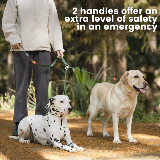 Howgo Double Slip Leash Slip Lead with Two Handles| Dual Dog Slip Lead for 2 Dogs,360° Swivel No Tangle | Dog Training Collar | Double Clip Leash Coupler and Splitter (Green, 6FT)