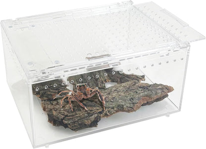 Acrylic Tarantula Enclosure Box No Assembly Reptile Terrarium 8x6x4in Transparent Sling Cage Magnetic Jumping Spiders Habitat Breeding Tank for Lizard Scorpion Insect Isopods Invertebrates