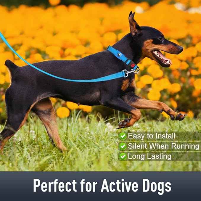 AirTag Dog Collar with AirTag Holder Compatible for Air Tag, Reflective Soft Padded, Safety Locking Buckle, Adjustable Nylon for Small Medium Large Dogs (SkyBlue,M)
