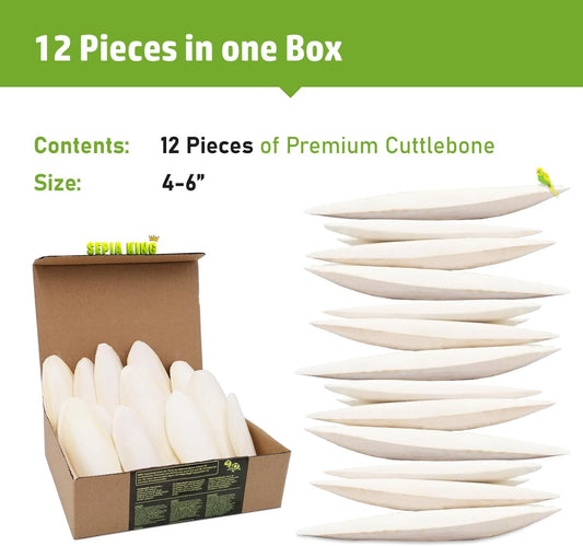 Medium - 100% Natural Calcium Supplement - Premium Cuttlebone Perfect for Birds, Tortoises, Snails, Reptiles - 12 Pack