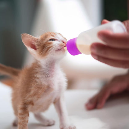 Tondiamo 16 Pieces Pet Feeding Bottle Kit Kitten Bottles Kitten Milk Replacer Puppy Milk Feeder with Replacement Nipples Puppy for Small Animals Newborn Dog and cat Nursing Supplies