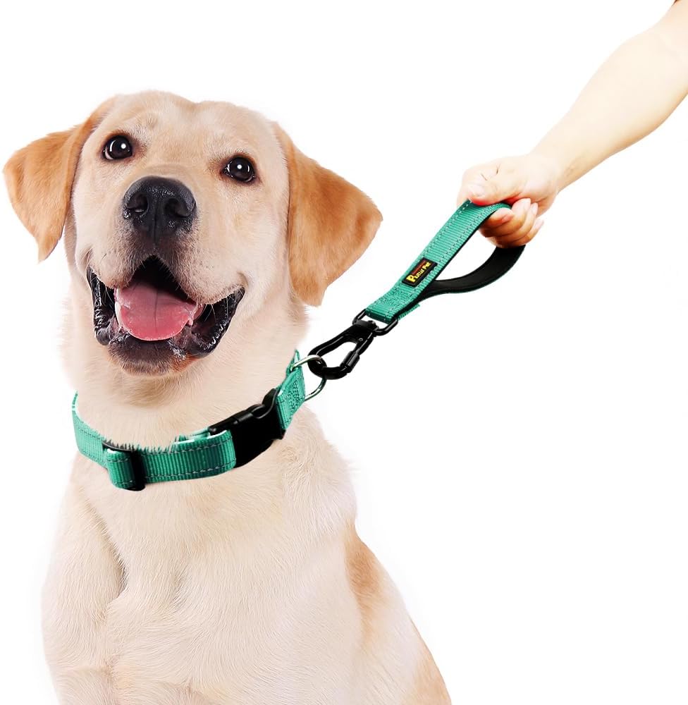 PLUTUS PET Short Dog Leash, Reflective Nylon Padded Handle, Strong Traffic Leash with Carabiner Clip, Perfect for Large or Medium Dogs (10”，Teal)