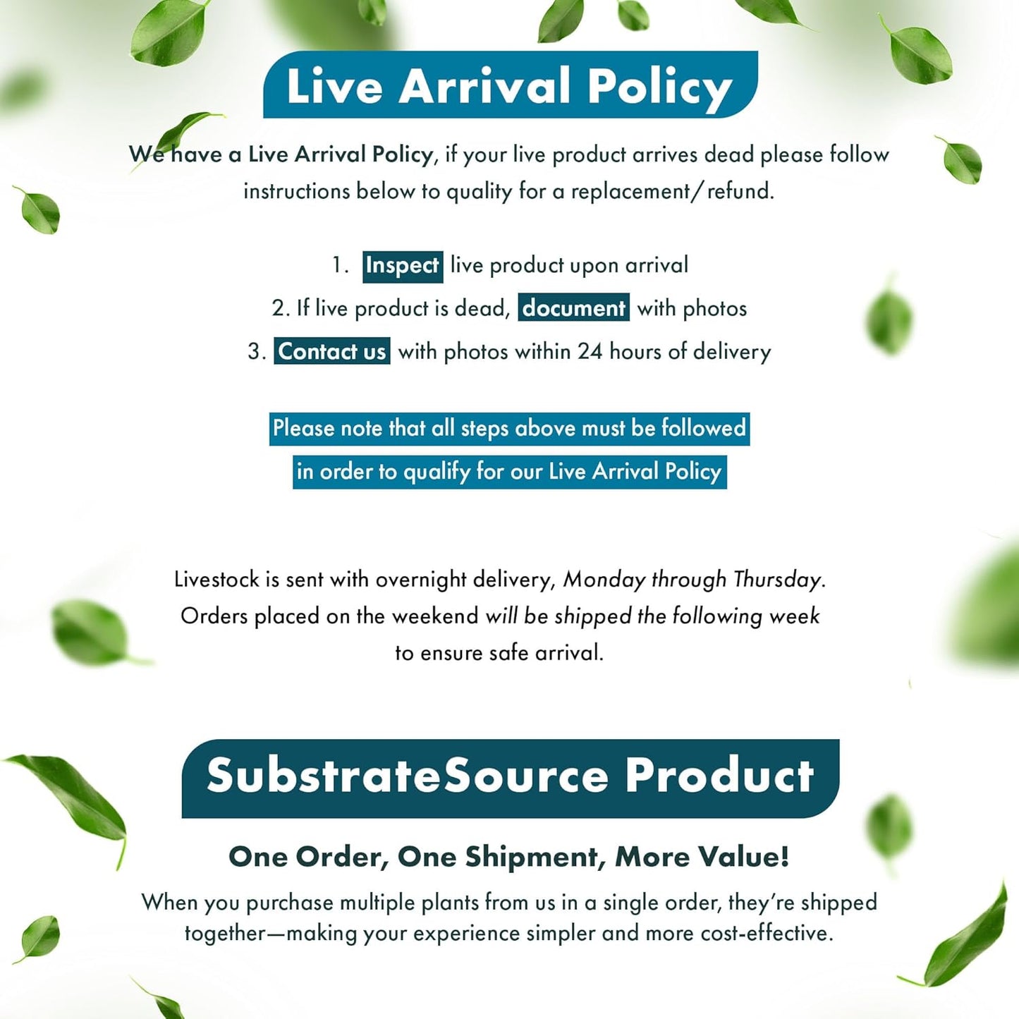 SubstrateSource Live Aquarium Stem Plants - Freshwater Aquatic Plant for Fish Tanks, Aquascaping - (Eleocharis Vivipara, 1 Bunch)