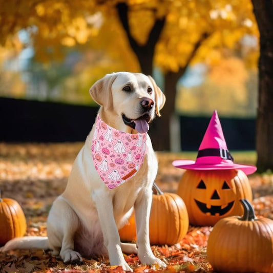 ADOGGYGO Halloween Dog Bandana, Pink Pumpkin Ghost Scarf, Adjustable Fit Female Halloween Bandanas for Large X-Large Dogs Pets (X-Large)
